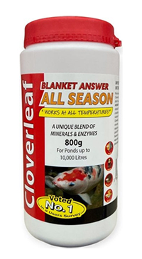 Cloverleaf Blanket Answer All Season - 800g
