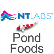NT Labs - MediKoi Pond Fish Foods - Full range