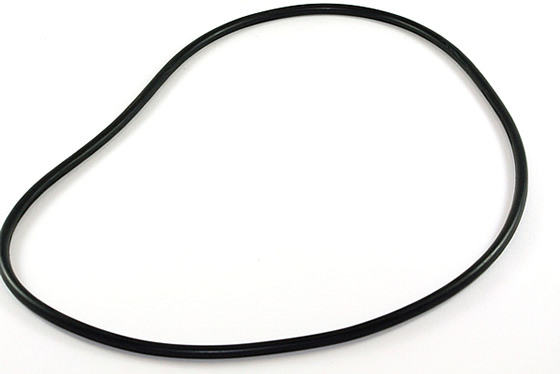 Click to Enlarge an image of Oase BioPress 6000 - 10000 - Main Tank O-Ring (28812)