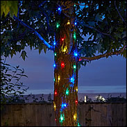 Solar Powered Firefly String Lights - Multi Coloured - 100 LED's