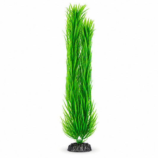 Large Artificial Oxygenator - Hugo Pogestemon - 50cm - Image 1