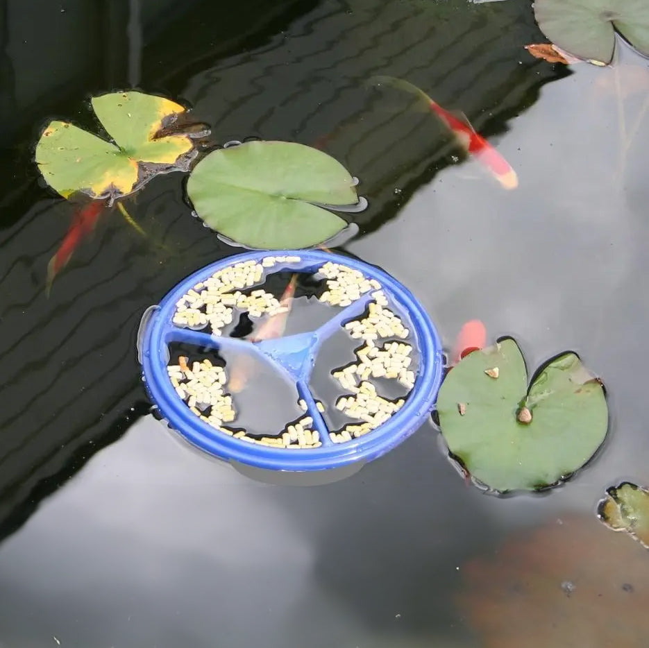 Bermuda Pond Fish Feeding Ring Picture 2