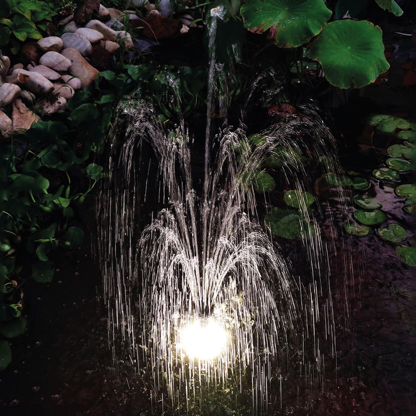 Betta Choice Solar LED and Battery Pack Kit Nigjt