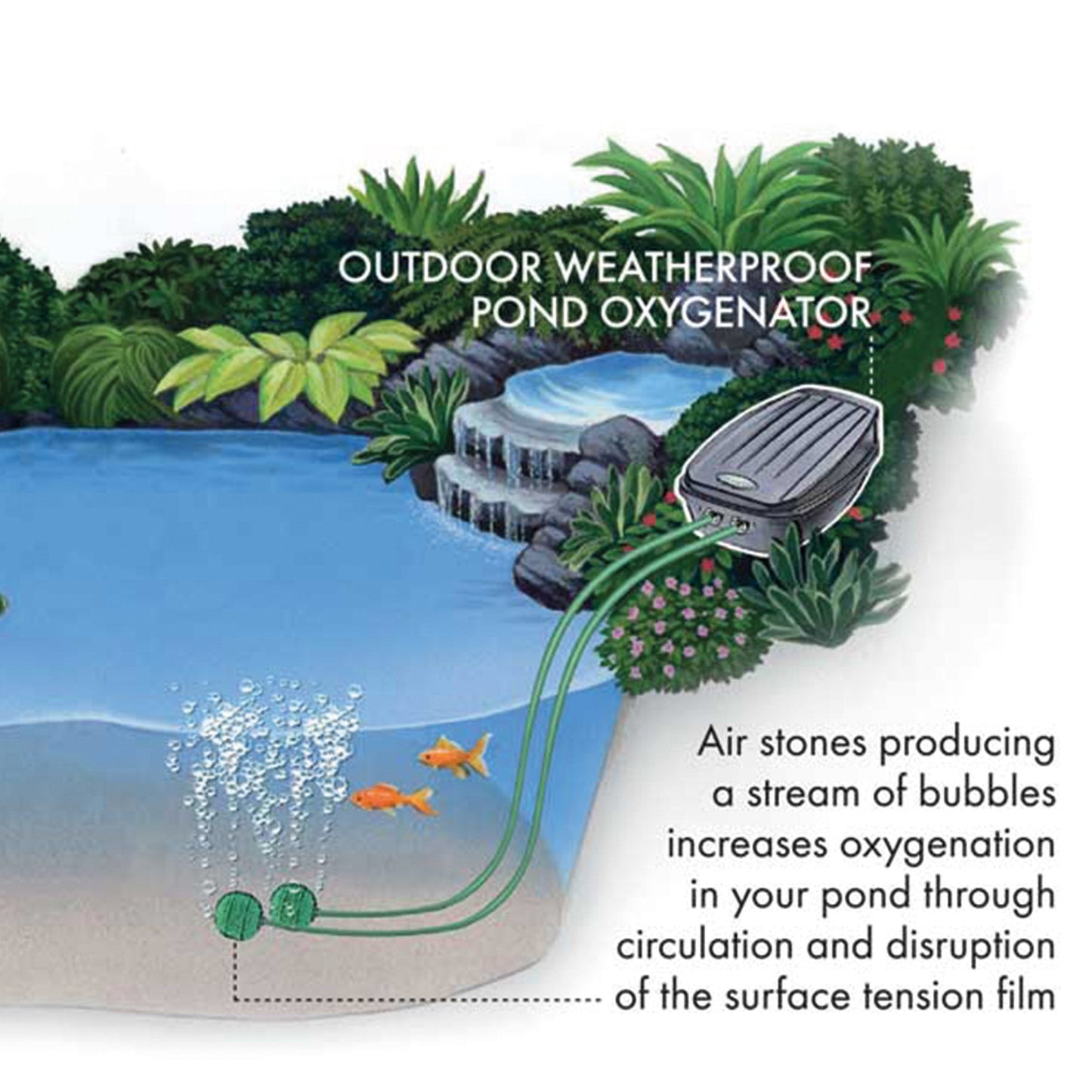 Blagdon Twin Outlet Pond Air Pump Kit (320 LPH) - Image 3