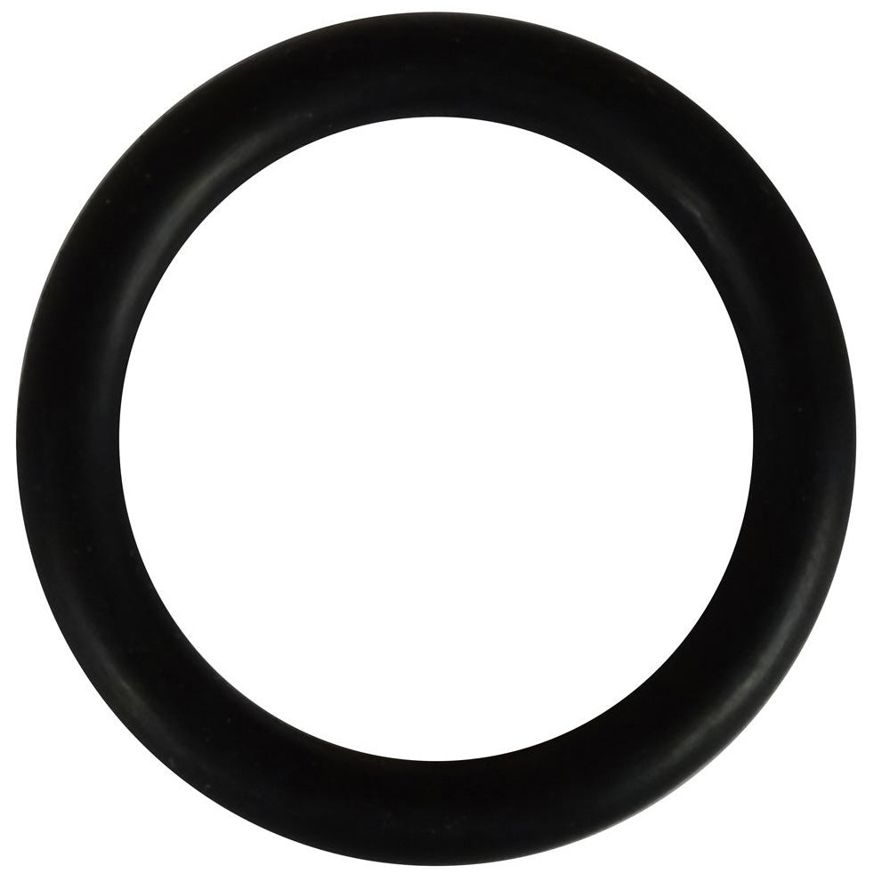 O-Ring for EA 1½ Inch Threaded Hosetail - Image 1
