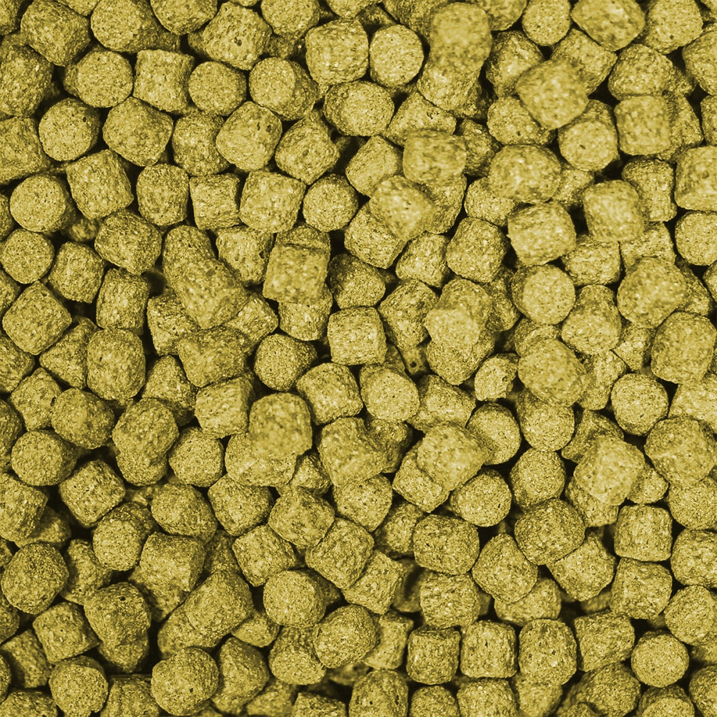 NT Labs MediKoi Health Fish Food (6mm) - 3Kg - Image 2