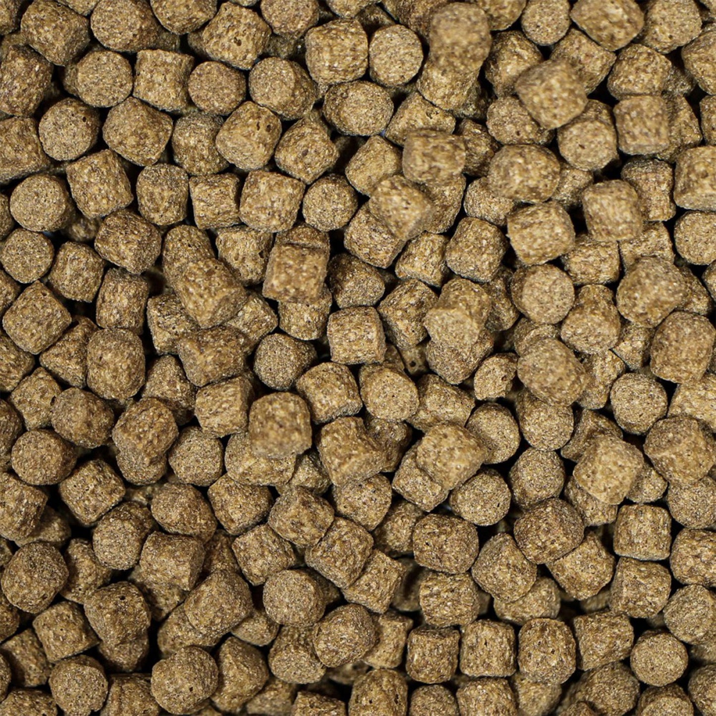 NT Labs Medikoi Wheatgerm With Garlic Fish Food (6mm) - 5Kg - Image 2
