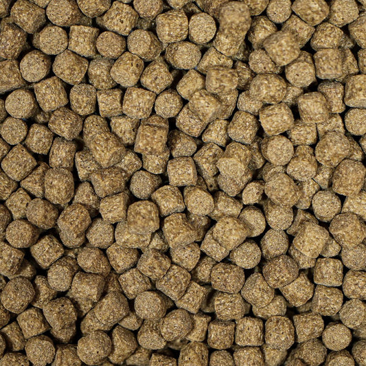 NT Labs MediKoi Wheatgerm With Garlic Fish Food (6mm) - 1.75Kg - Image 2