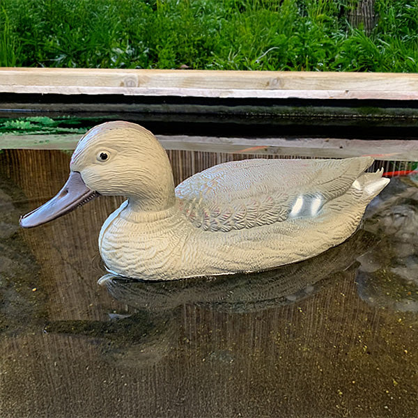 Oase Floating Mallard Duck Female