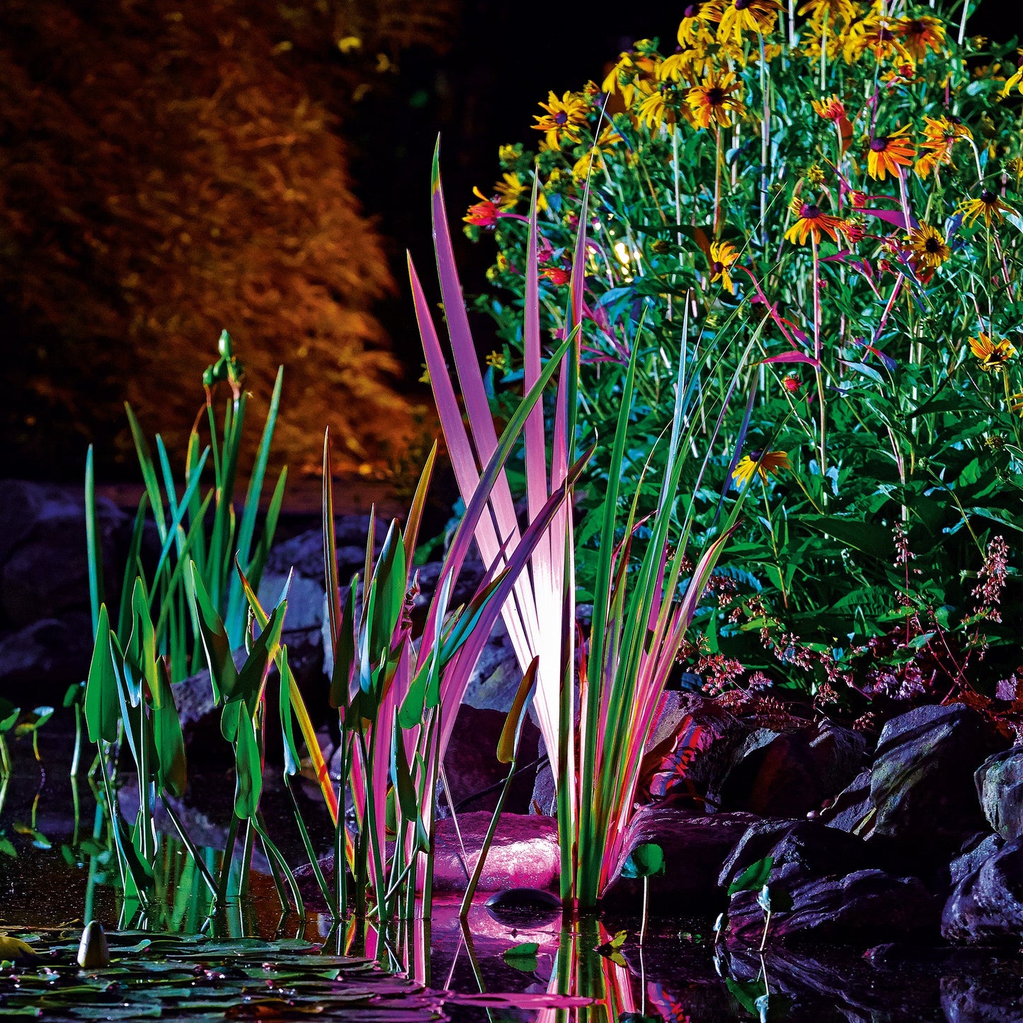 Oase Profi Lux RGB Light - EGC - Single Light - Image 5