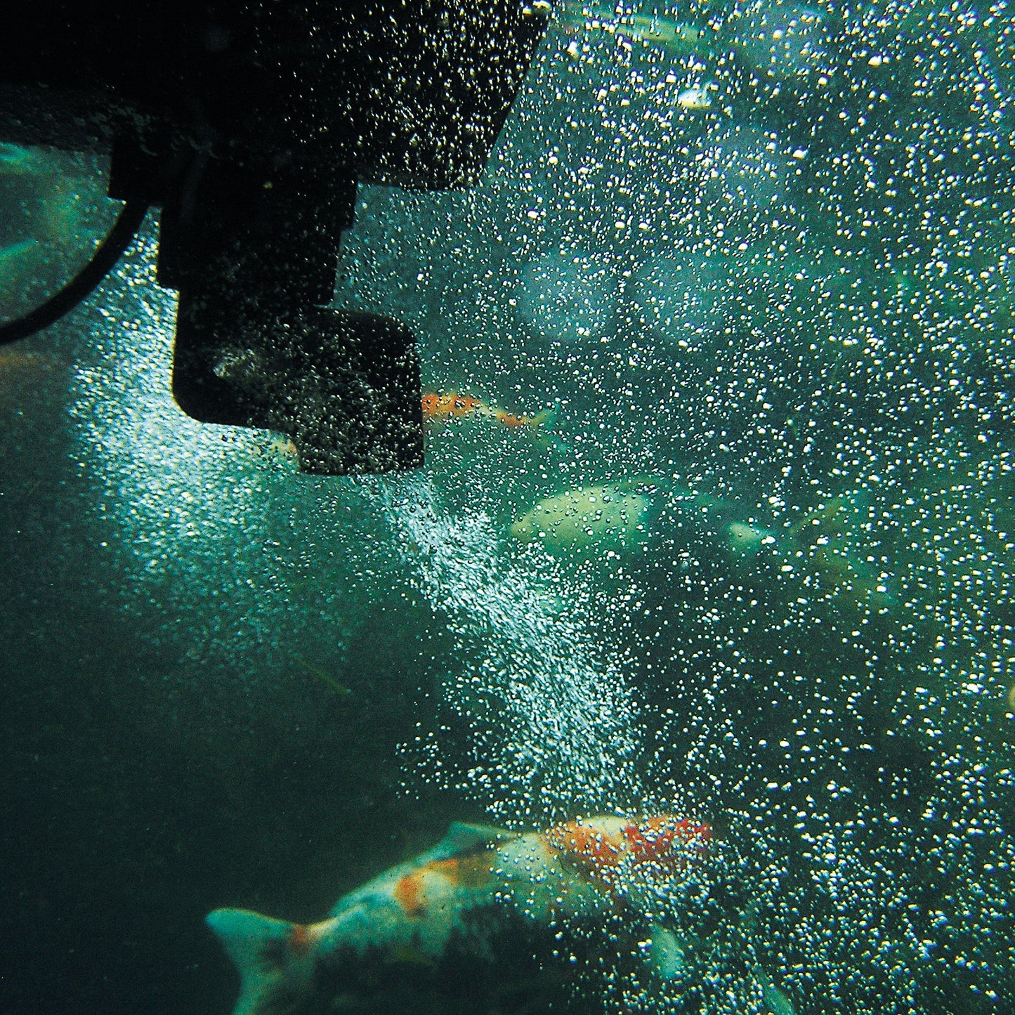 Oase SwimSkim 50 CWS Floating Skimmer - Image 4