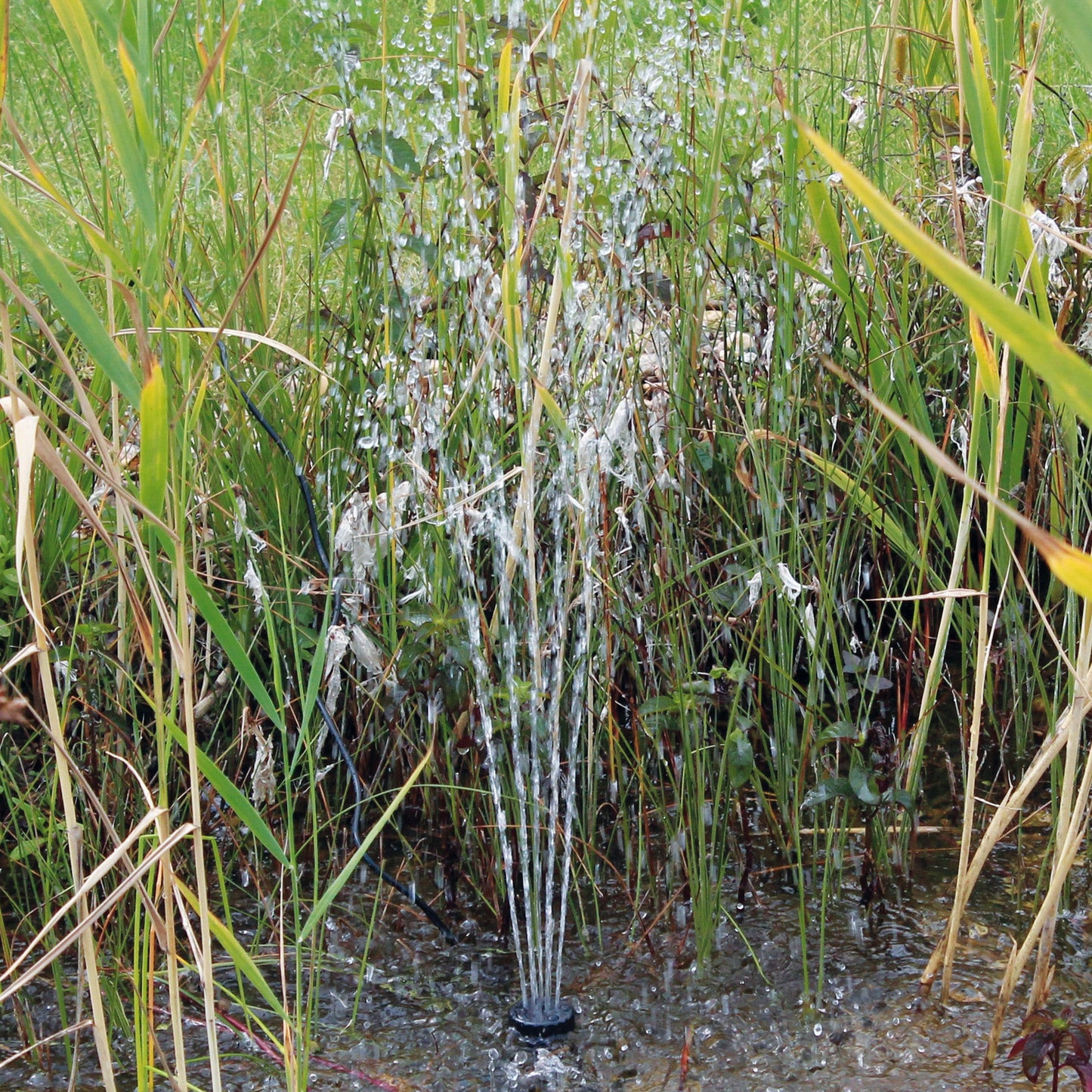 Pontec PondoSolar 600 Control - Solar Fountain Pump - Image 4