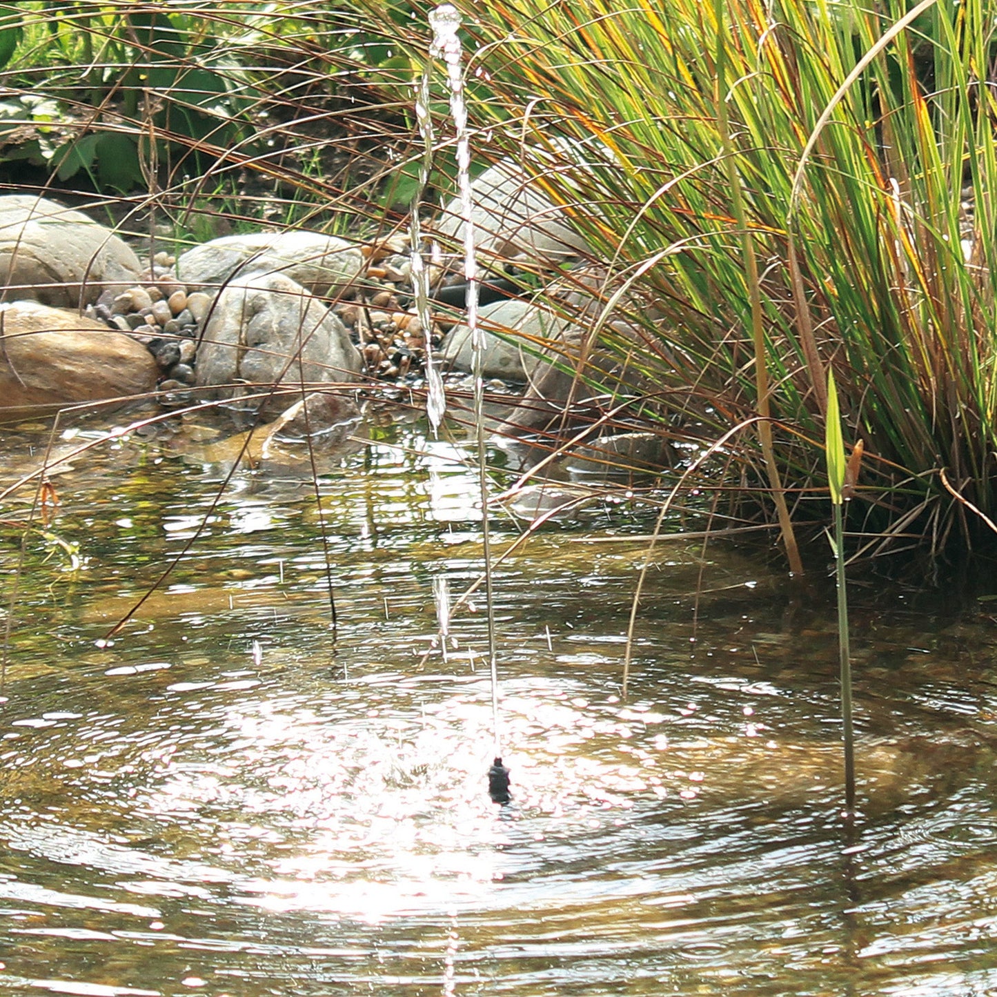 Pontec PondoSolar 150 - Solar Fountain Pump - Image 6