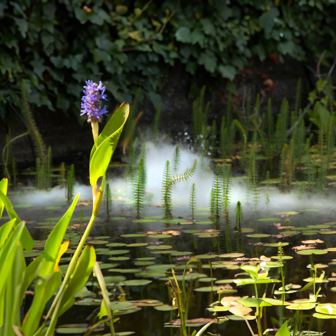 Velda Floating Mist Maker - 3 Membrane - Image 2