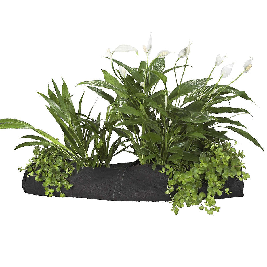Velda - Small Pond Planter Socks - Image 4