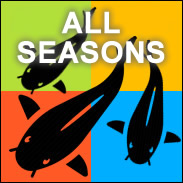 All Seasons Fish Food