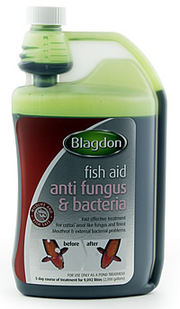 Blagdon - Anti Fungus and Bacteria - 500ml