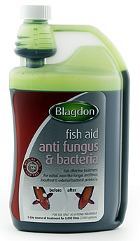 Blagdon - Anti Fungus and Bacteria - 250ml