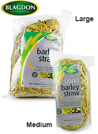 Blagdon - Barley Straw Bales