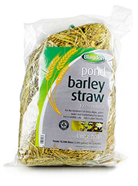 Blagdon - Barley Straw Bale - Large - 13500 Litres