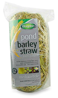 Blagdon - Barley Straw Bale - Medium - 9000 Litres
