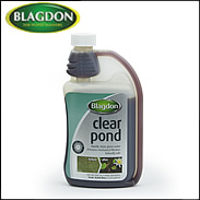 Blagdon - Clear Pond