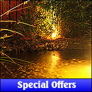 Garden Solar Lighting Special Offers