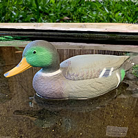 Oase Floating Mallard Duck Drake