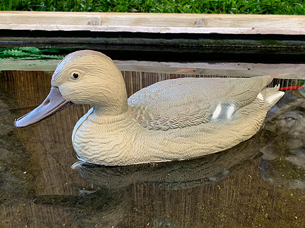 Large image of Oase Floating Mallard Duck Female