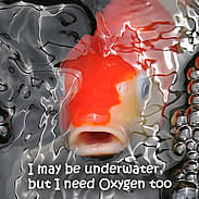 How Solve and Avoid Low Oxygen Problems 