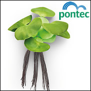 Pontec PondoHyacinth - Artificial Floating Water Hyacinth