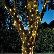 Solar Powered Firefly String Lights - Warm White - 100 LED's