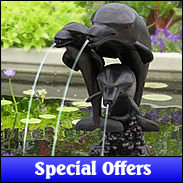 Create a Unique Look And Feel Special Offers - Full range