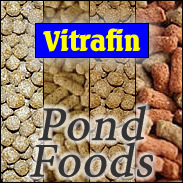 Vitrafin Pond Fish Foods - Full range