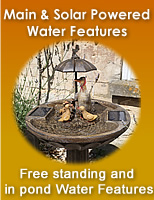 Water Features - Featured Products