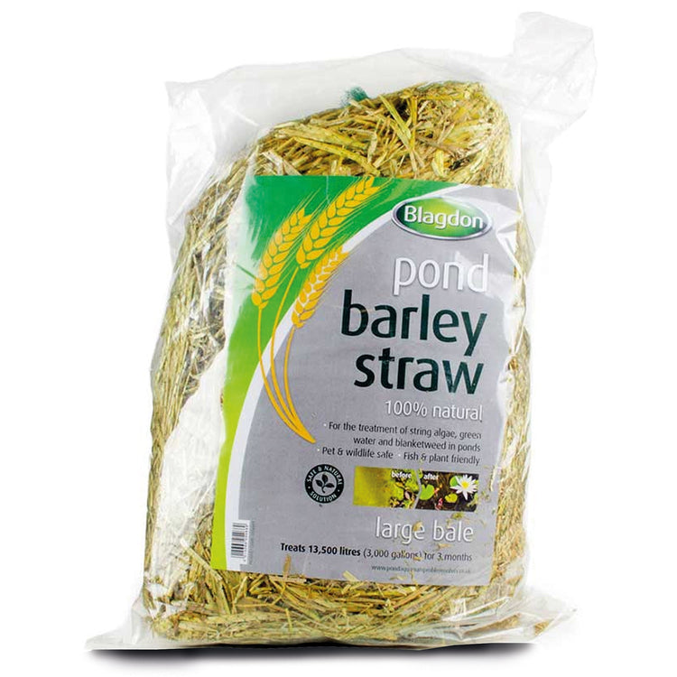 Blagdon - Barley Straw Bales