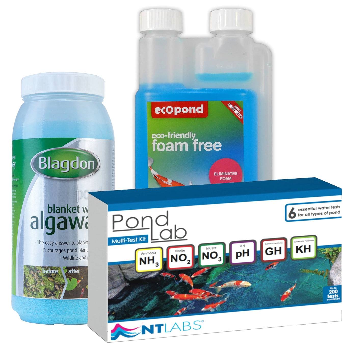 Looking After Your Pond and Fish