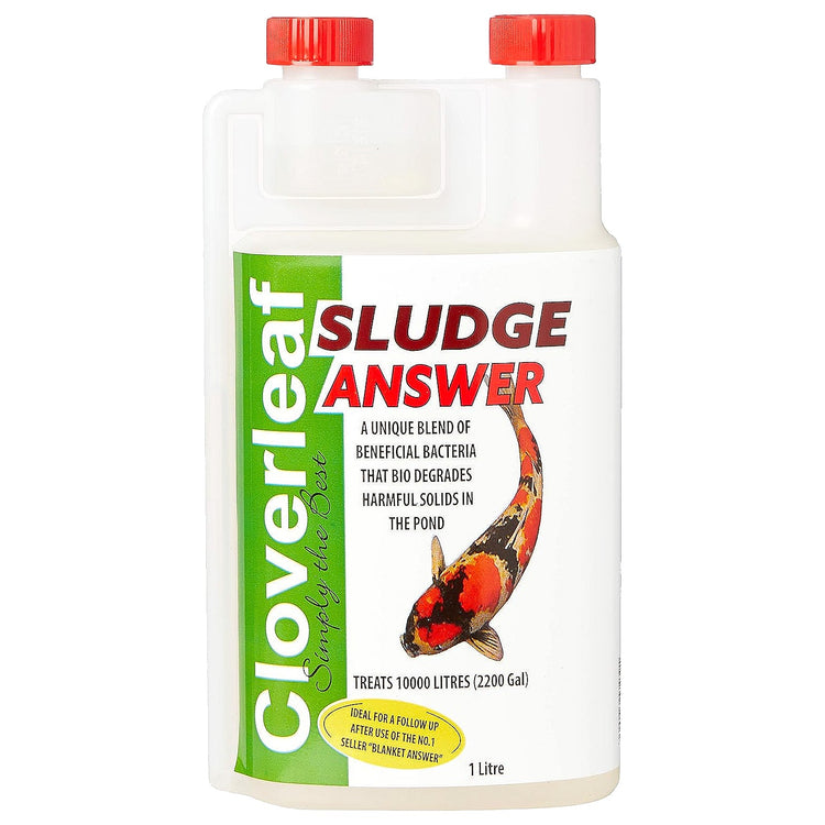 Cloverleaf Sludge Answer