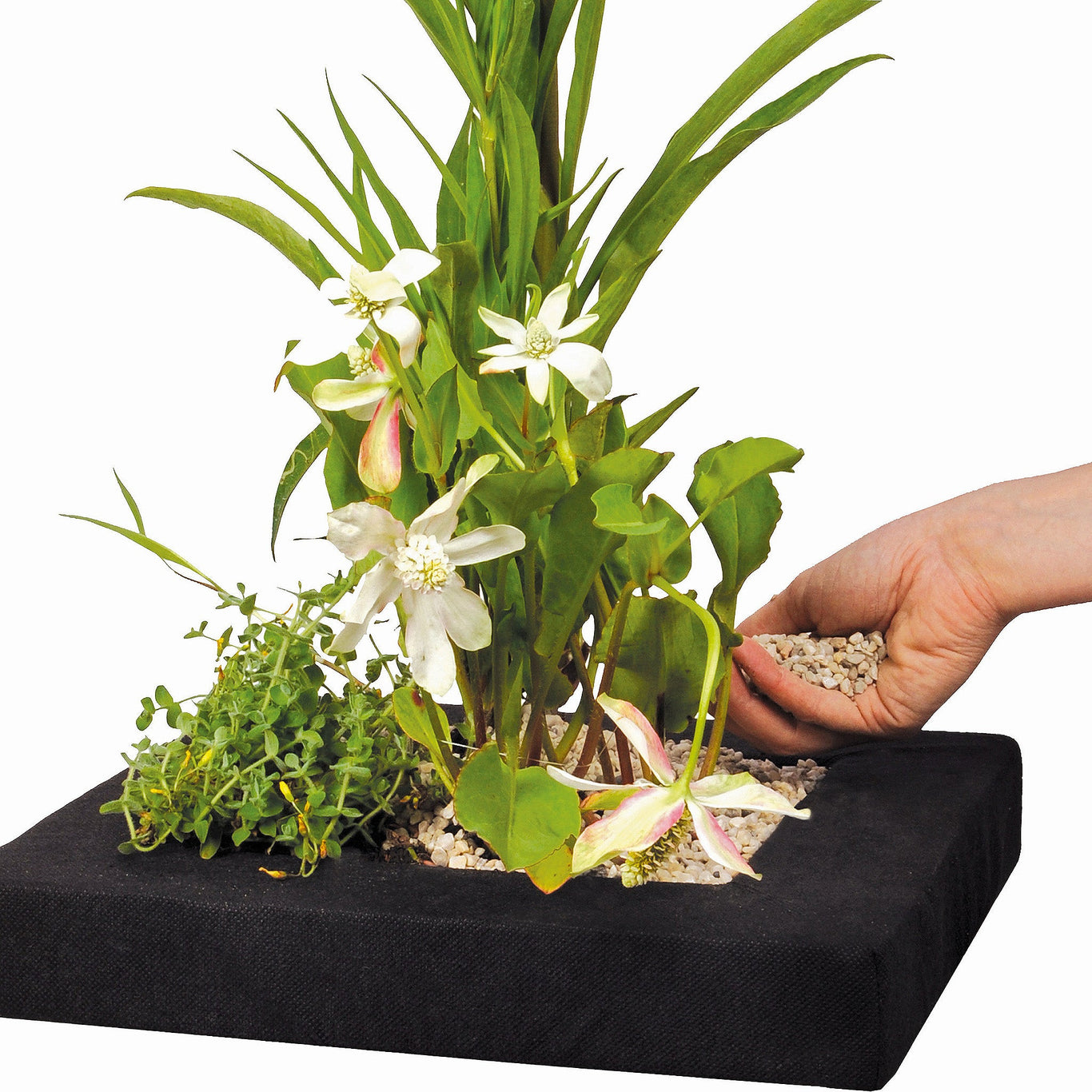 Floating Island Planting Basket