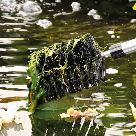 How to Cure Pond Blanket Weed Advice - Sq