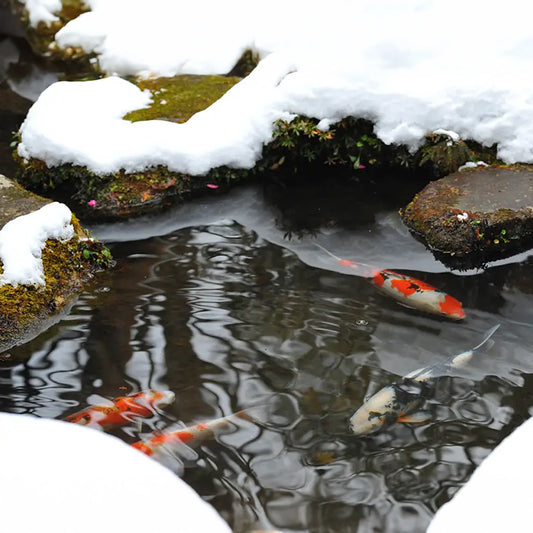 Looking After A Pond In The Winter - Sq