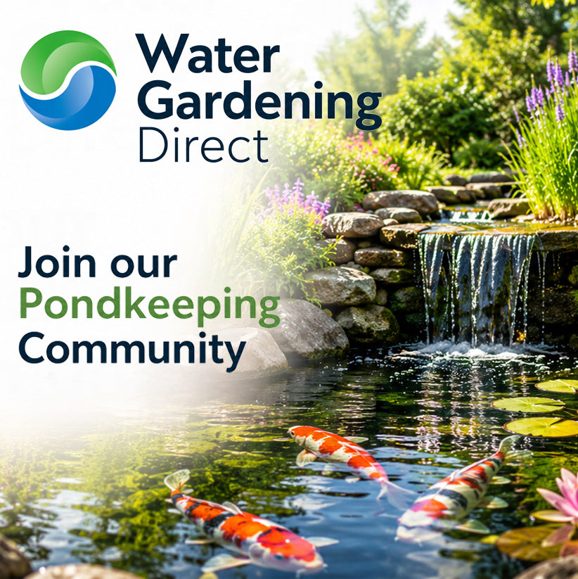 Subscribe to our Newsletter
