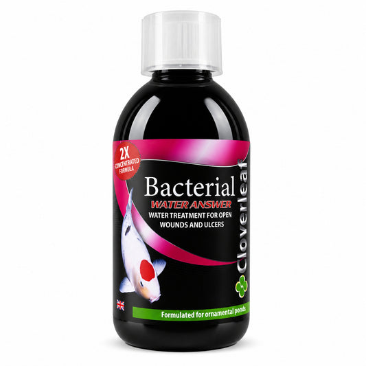 Cloverleaf Water Answer - Bacterial Pond Treatment