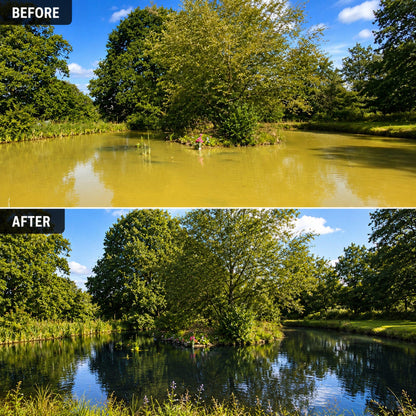 Dyofix SGP Shadow 50 - Pond Dye - 300G - Before and After