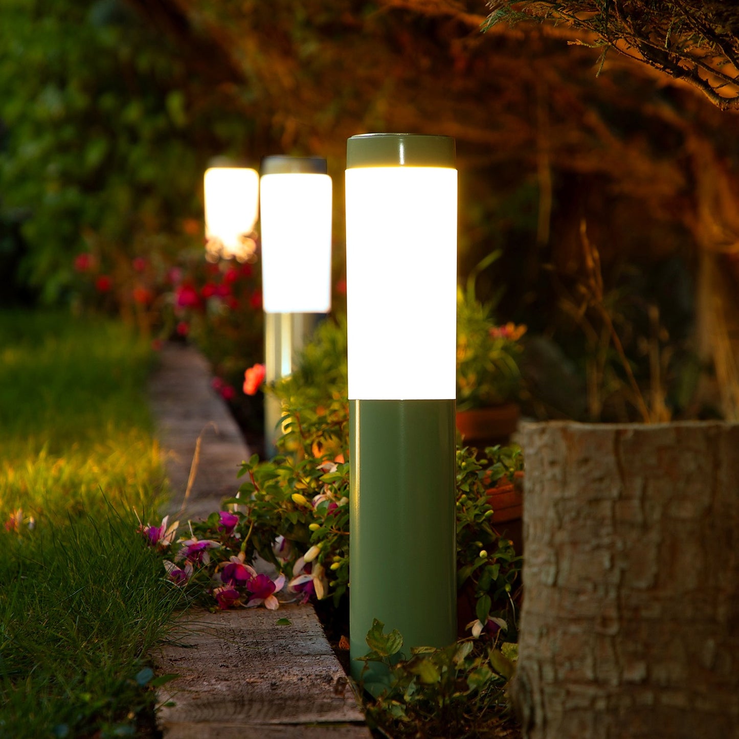 Noma - Heron 3 Light Starter Set – Green