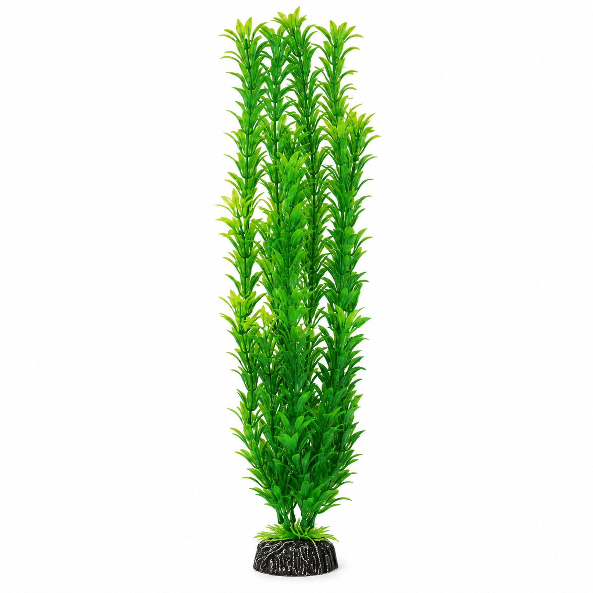 Large Artificial Oxygenator - Hugo Egeria - 50cm - Image 1