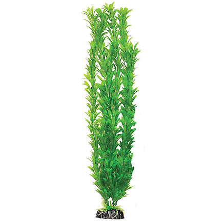 Large Artificial Oxygenator - Hugo Egeria - 50cm - Image 1