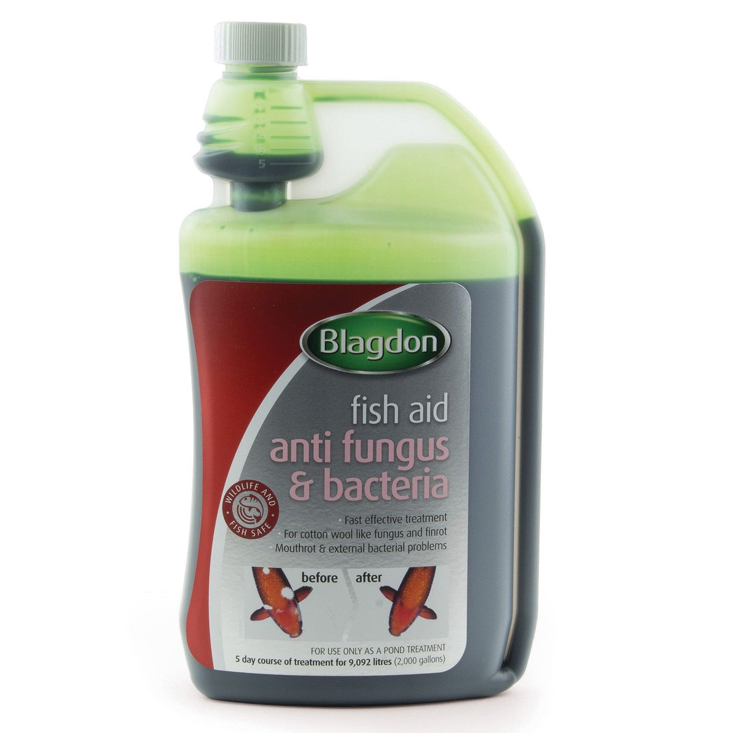 Blagdon - Anti Fungus and Bacteria - 1L - Image 1