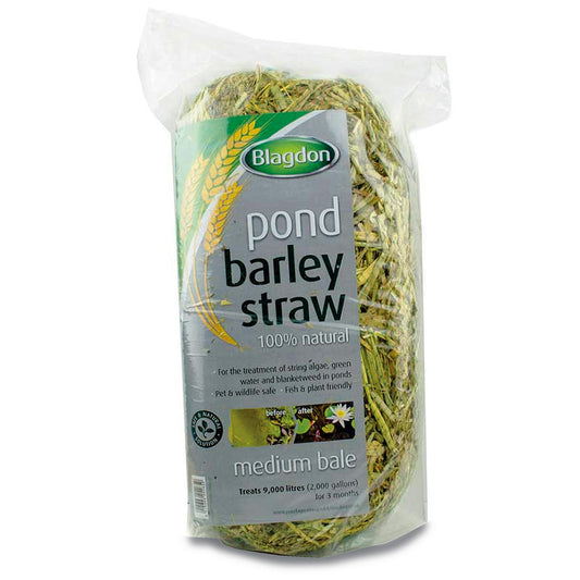 Blagdon - Barley Straw Bale - Medium - 9000 Litres - Image 1