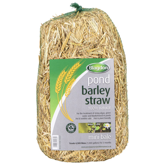 Blagdon Barley Straw Mini Pond Bale Picture 1